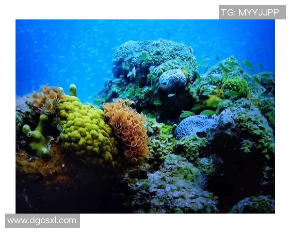 布莱克尼的奇幻之旅探索未知世界的神秘与美丽